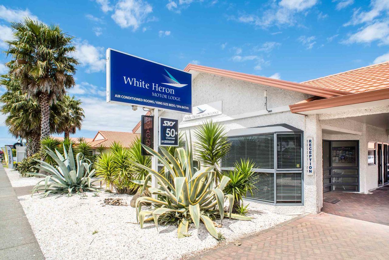 White Heron Motor Lodge Gisborne Exterior foto